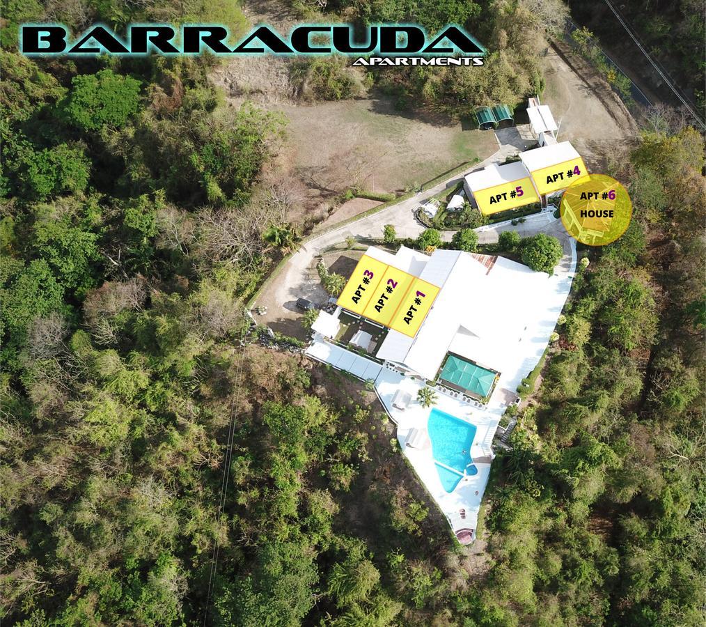 Barracuda Apartments Sámara Dış mekan fotoğraf